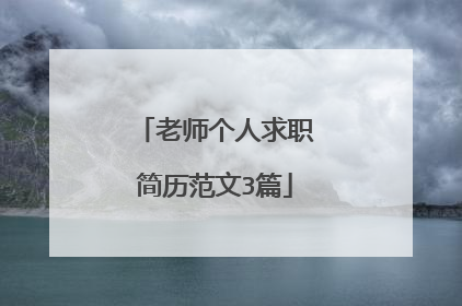 老师个人求职简历范文3篇