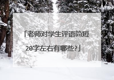 老师对学生评语简短20字左右有哪些?