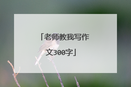 老师教我写作文300字
