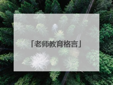 老师教育格言