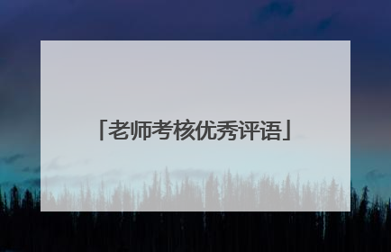 老师考核优秀评语