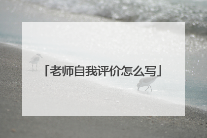 老师自我评价怎么写
