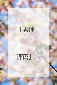 老师评语