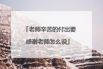 老师辛苦的付出要感谢老师怎么说