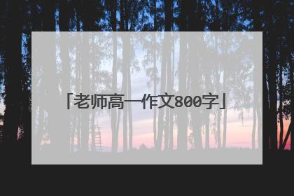 老师高一作文800字