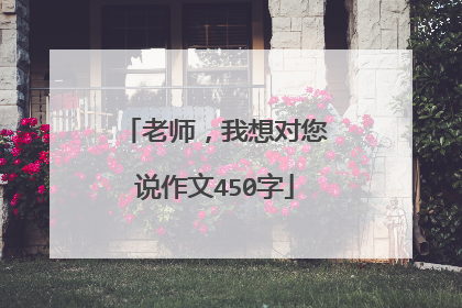 老师，我想对您说作文450字