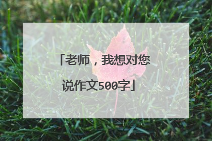老师,我想对您说作文500字