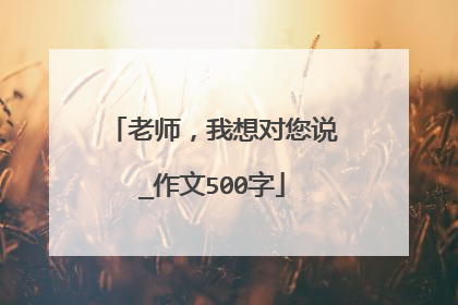 老师，我想对您说_作文500字