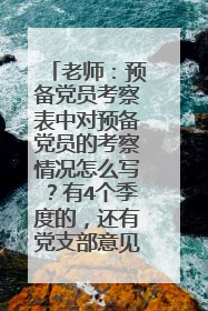 老师：预备党员考察表中对预备党员的考察情况怎么写？有4个季度的，还有党支部意见怎么写？