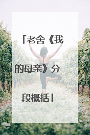 老舍《我的母亲》分段概括