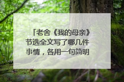 老舍《我的母亲》节选全文写了哪几件事情,各用一句简明的话概括出来?