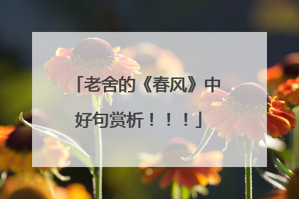 老舍的《春风》中好句赏析!!!