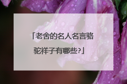 老舍的名人名言骆驼祥子有哪些?