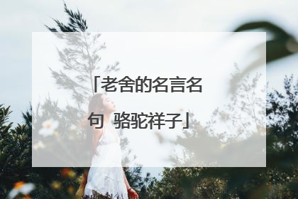 老舍的名言名句 骆驼祥子