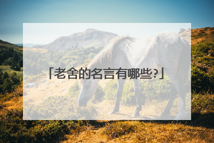 老舍的名言有哪些?