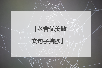 老舍优美散文句子摘抄