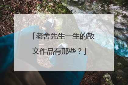 老舍先生一生的散文作品有那些?