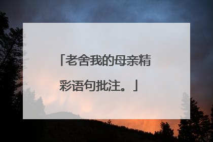 老舍我的母亲精彩语句批注。
