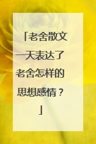 老舍散文一天表达了老舍怎样的思想感情？