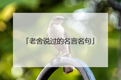 老舍说过的名言名句