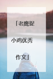 老鹰捉小鸡优秀作文