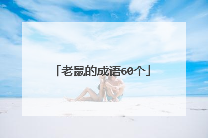 老鼠的成语60个