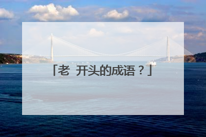 老 开头的成语?