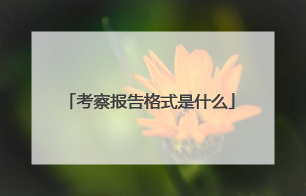 考察报告格式是什么