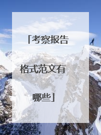 考察报告格式范文有哪些