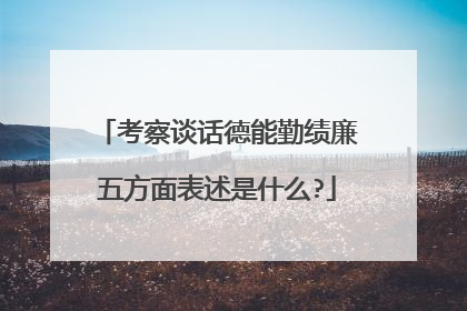 考察谈话德能勤绩廉五方面表述是什么?