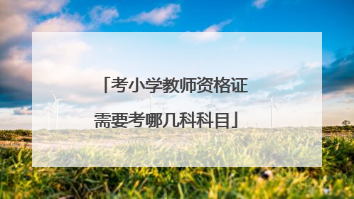 考小学教师资格证需要考哪几科科目