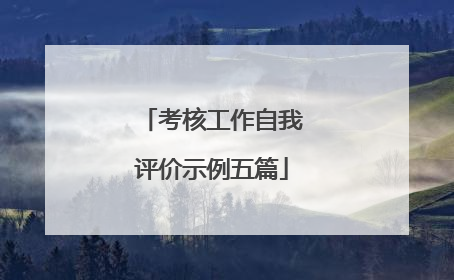 考核工作自我评价示例五篇