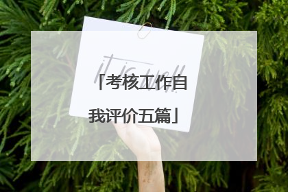 考核工作自我评价五篇