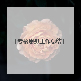 考核思想工作总结