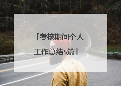 考核期间个人工作总结5篇