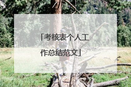 考核表个人工作总结范文