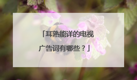 耳熟能详的电视广告词有哪些?