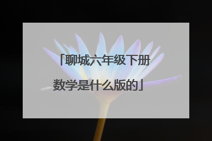 聊城六年级下册数学是什么版的