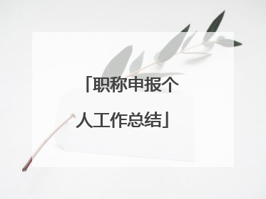职称申报个人工作总结