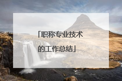 职称专业技术的工作总结
