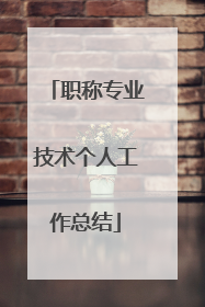 职称专业技术个人工作总结