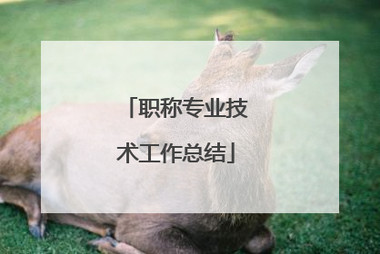 职称专业技术工作总结