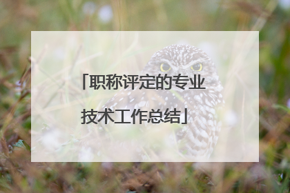 职称评定的专业技术工作总结
