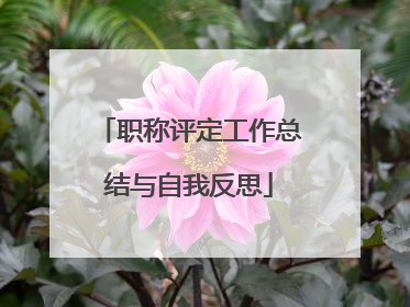 职称评定工作总结与自我反思