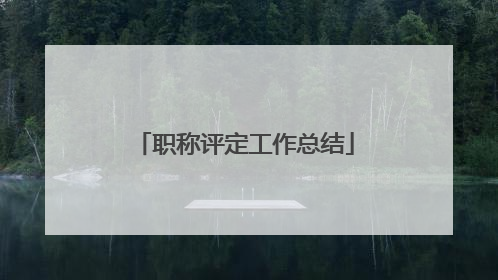 职称评定工作总结