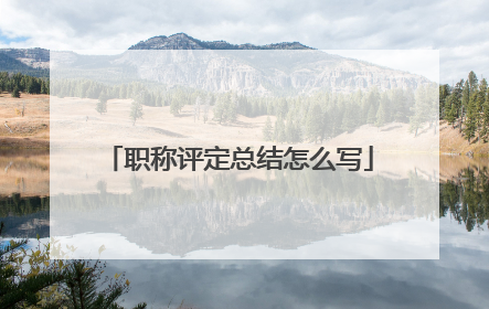 职称评定总结怎么写