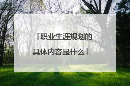 职业生涯规划的具体内容是什么