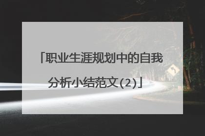 职业生涯规划中的自我分析小结范文(2)