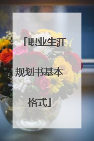 职业生涯规划书基本格式