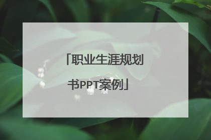 职业生涯规划书PPT案例